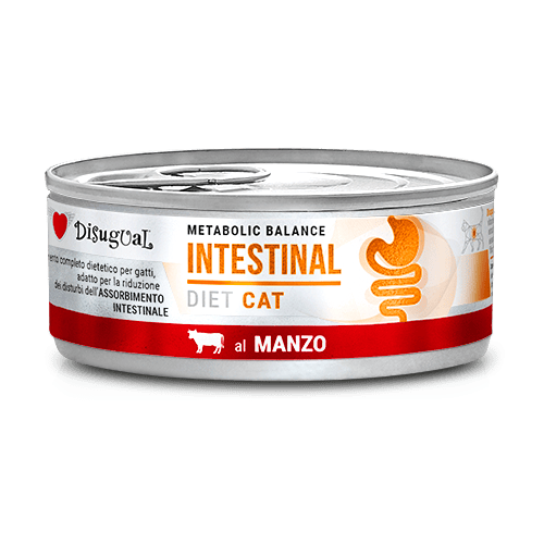 Disugual-Cat-INTESTINAL-85g-wołowina.png