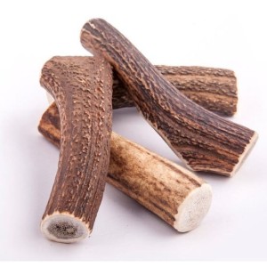 4DOGS Gryzak z poroża XXL hard