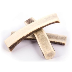 4DOGS Gryzak z poroża XL easy