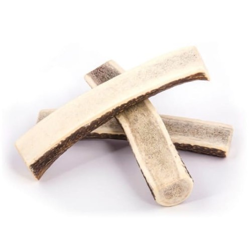 4DOGS Gryzak z poroża XL easy.jpg