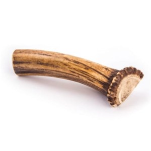 4DOGS Gryzak z poroża M easy