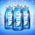 SmoothieDog-Winter-Wild-smoothie-dla-psa-dziczyzna-z-warzywami-250ml_[4247]_1200.jpg