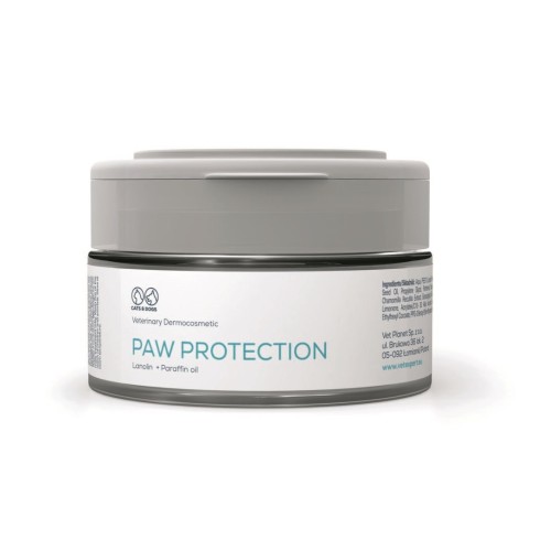 vet_expert_paw_protection.jpg