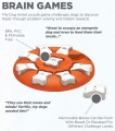 Nina Ottosson Smart - gra edukacyjna, poziom 1