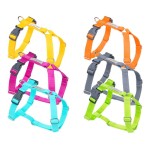Amiplay Samba Szelki regulowane Guard M