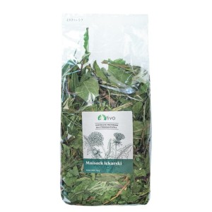 Tivo Mniszek Lekarski