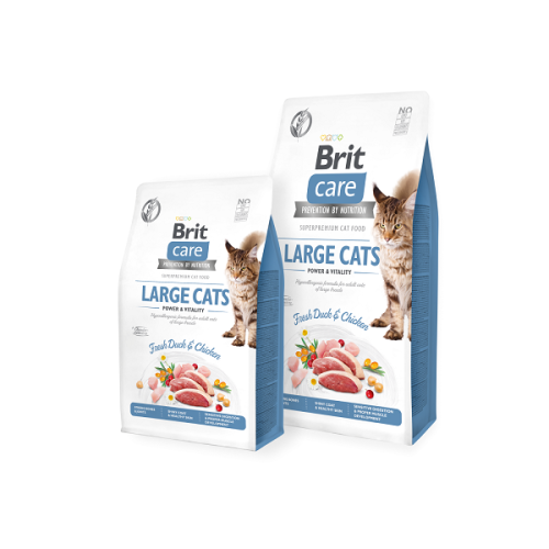brit-care-large-cats.png