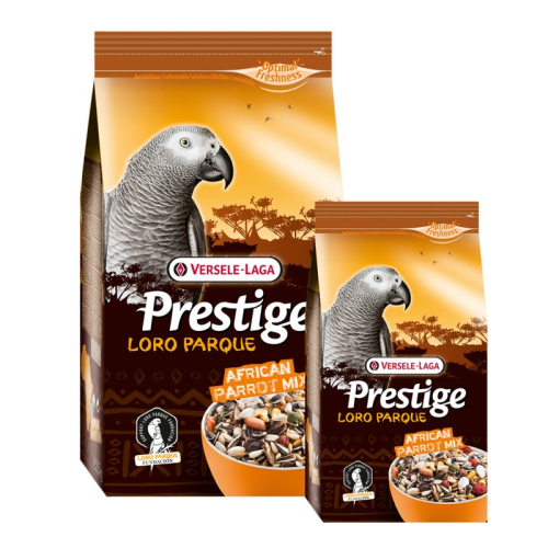 vl-african-parrot-premium.png