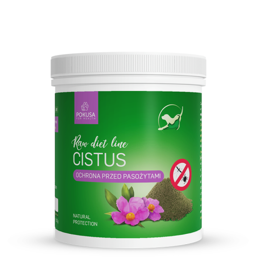 rawdietline-czystek-cistus.jpg