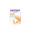 kattovit-sasz-urinary-indyk.png