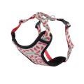 amiplay_BeHappy_Adjustable_harness_Discovery_Watermelon_1.jpg