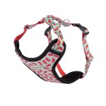 amiplay BeHappy Szelki regulowane Discovery - Watermelon