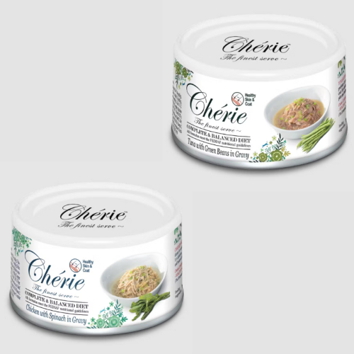 cherie skin coat.png