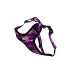 amiplay BeNature Szelki regulowane Discovery - Mountains